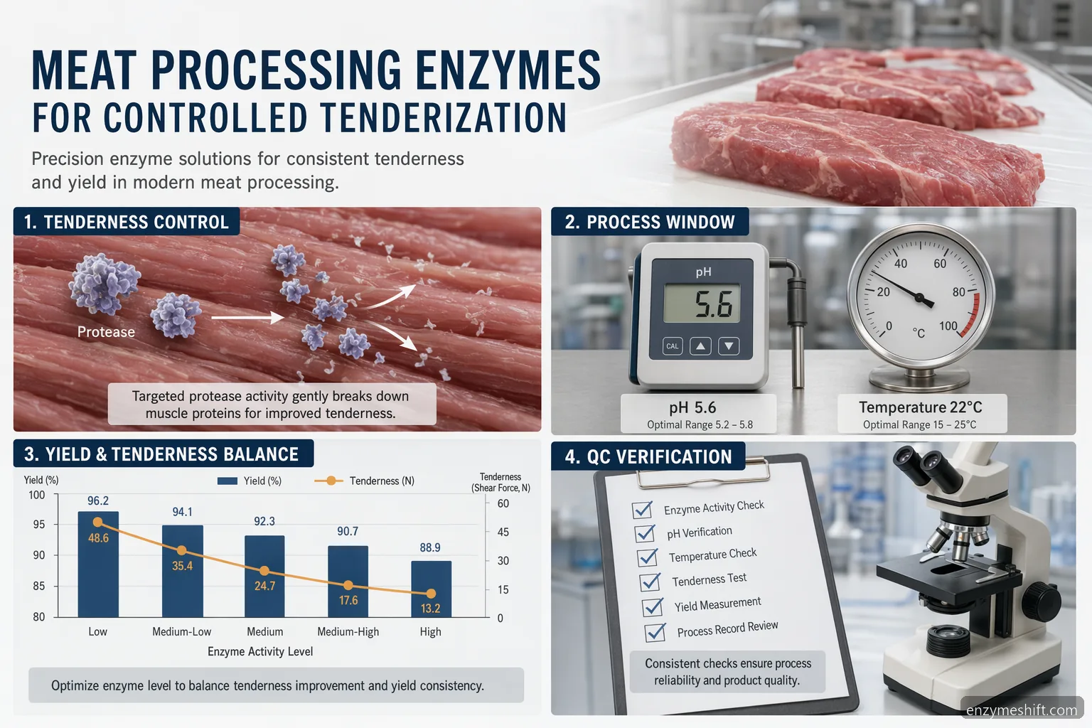 Meat processing enzymes supplier guide showing tenderization control, yield, QC, and plant trial checkpoints
