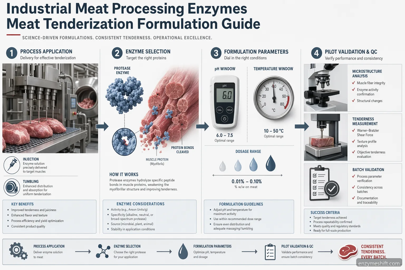 industrial meat processing enzymes meat tenderization formulation guide showing enzyme selection, dosing, pH and QC checkpoints