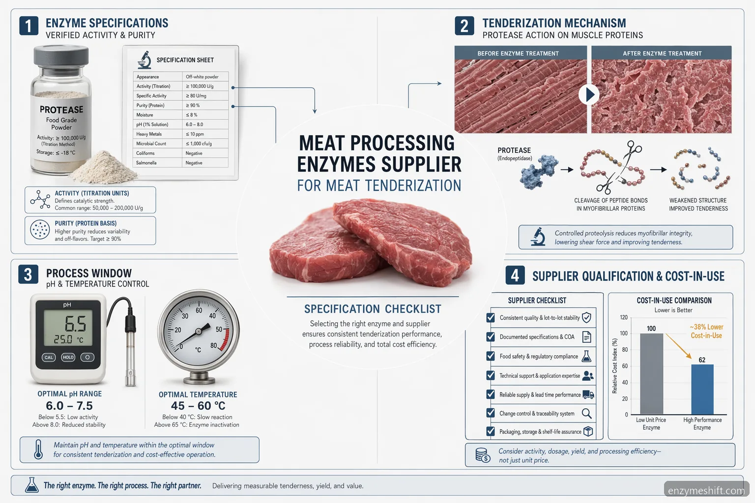 meat processing enzymes supplier for meat tenderization checklist with enzyme specs, process limits, validation metrics