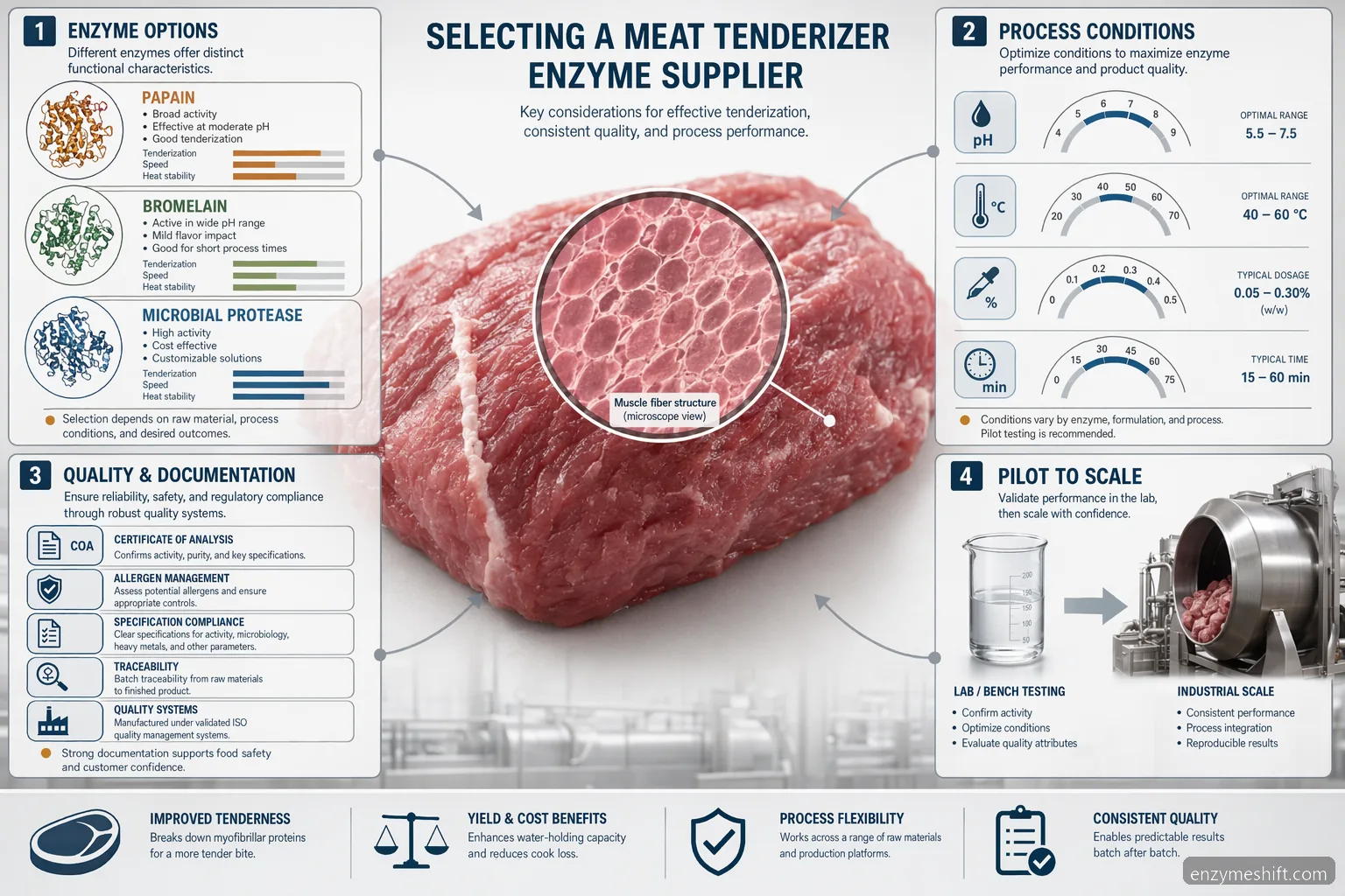 Meat tenderizer enzyme supplier for meat tenderization guide showing enzyme choice, process checks, QC, and scale-up