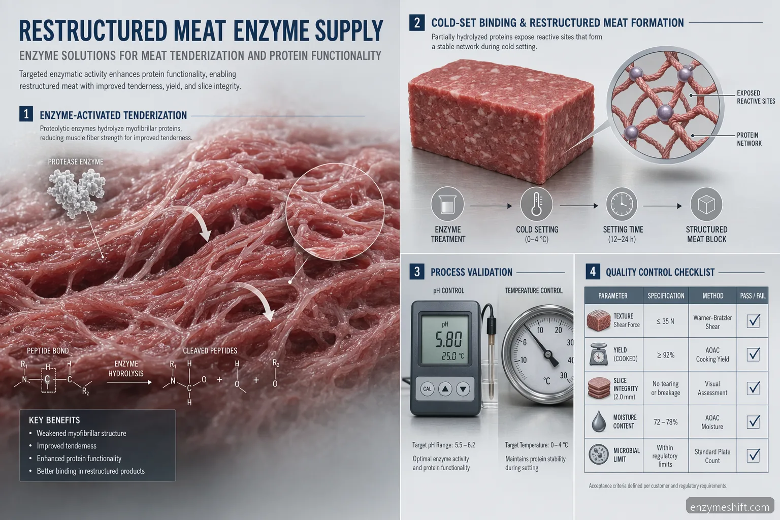 restructured meat enzyme supplier for meat tenderization page showing enzyme binding, pH, temperature, and QC factors
